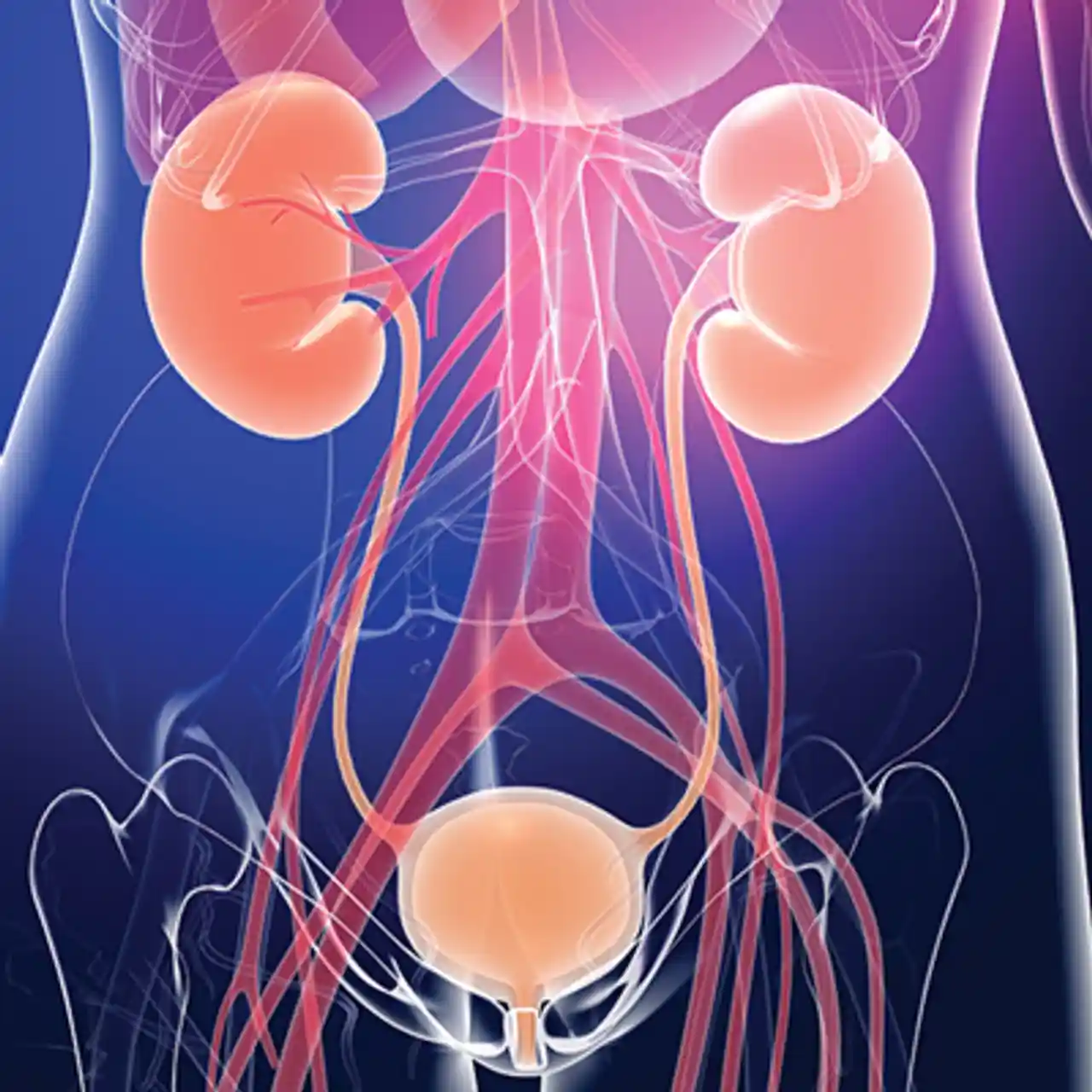 552-comprehensive-review-of-urology-cme__47889